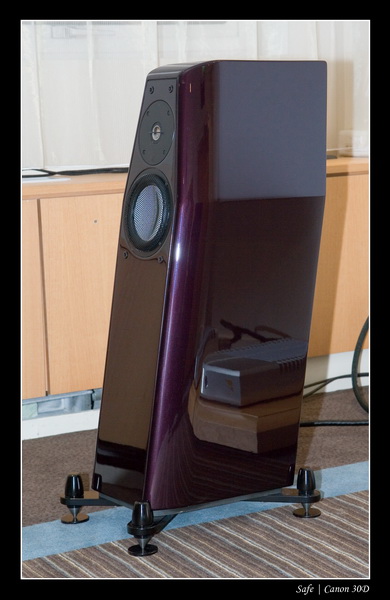 2007 - 03 - Salon hifi sofitel - 094